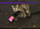 https://lolkot.ru/2010/10/06/ne-govorite-yey/