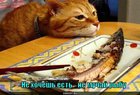 https://lolkot.ru/2011/09/09/ne-hochesh-yest/