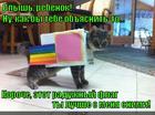https://lolkot.ru/2015/07/26/ne-hochu-byt-nyan-ketom/