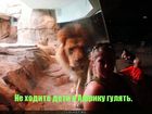 https://lolkot.ru/2011/10/04/ne-hodite-deti-v-afriku-gulyat/