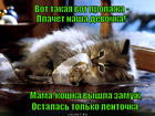 https://lolkot.ru/2015/09/21/ne-hodite-mamy-zamuzh/