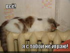 https://lolkot.ru/2012/10/17/ne-igrayu/
