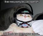https://lolkot.ru/2009/11/10/ne-mogu-zhit-bez-ekstrima/