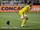 https://lolkot.ru/2012/09/08/ne-perebegal/