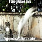 https://lolkot.ru/2010/10/17/ne-pey-stolko-kofe/