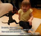 https://lolkot.ru/2011/03/29/ne-plach/