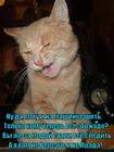https://lolkot.ru/2015/08/30/ne-po-mode-2/
