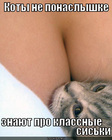https://lolkot.ru/2012/06/22/ne-ponaslyshke/