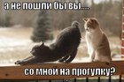 https://lolkot.ru/2012/05/04/ne-poshli-by-vy/