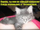 https://lolkot.ru/2016/11/15/ne-povod-dlya-revnosti/