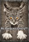 https://lolkot.ru/2012/10/25/ne-poydu-na-rabotu/