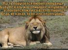https://lolkot.ru/2014/12/05/ne-rugaysya-2/