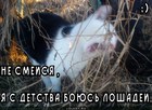 https://lolkot.ru/2011/03/22/ne-smeysya/