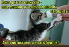 https://lolkot.ru/2015/03/30/ne-smotri-telek-chitay-knigi/