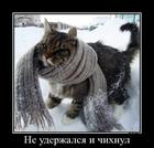 https://lolkot.ru/2012/09/08/ne-uderzhalsya/