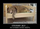 https://lolkot.ru/2012/06/05/ne-uspevayu-zabit/