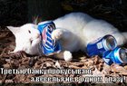 https://lolkot.ru/2012/03/23/ne-v-odnom-glazu/