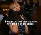https://lolkot.ru/2013/09/20/ne-vorotnik/