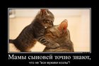 https://lolkot.ru/2012/04/13/ne-vse-muzhiki-kozly/