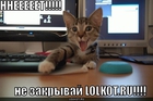 https://lolkot.ru/2010/06/15/ne-zakryvay-lolkot-ru/