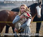 https://lolkot.ru/2012/01/10/nebolshoy-kotyonok/