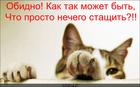 https://lolkot.ru/2013/09/09/nechego-staschit/