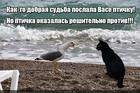https://lolkot.ru/2025/05/15/nedobryy-poslannik/