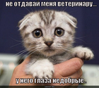 https://lolkot.ru/2011/05/27/nedobryye-glaza/
