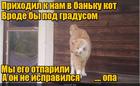 https://lolkot.ru/2024/05/02/neispravimyy-gradus/