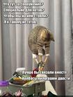 https://lolkot.ru/2025/07/16/nekotovoye-sooruzheniye/