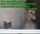 https://lolkot.ru/2015/07/15/nelovkiy-moment-2/