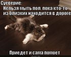 https://lolkot.ru/2011/12/01/nelzya-myt-pol/