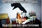 https://lolkot.ru/2011/12/09/nemnogo-slishkom-vodki/
