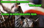 https://lolkot.ru/2016/09/07/neobsuzhdayemo-prav/
