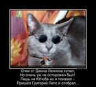 https://lolkot.ru/2016/01/29/neostorozhnoye-priobreteniye/