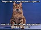 https://lolkot.ru/2012/10/05/neotrazimaya-glupost/