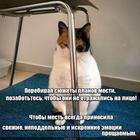 https://lolkot.ru/2024/05/12/nepoddelnaya-litsevaya-ekspressiya/