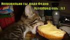 https://lolkot.ru/2011/06/04/nepravilno/