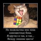 https://lolkot.ru/2016/01/25/nepravilnyy-kubik/