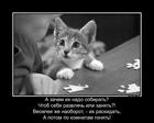 https://lolkot.ru/2015/07/03/nepravilnyy-pazl/