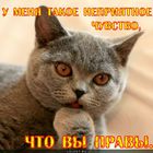 https://lolkot.ru/2011/05/25/nepriyatnoye-chuvstvo/