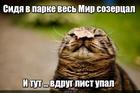 https://lolkot.ru/2024/07/28/nesozertsatelnaya-maska/