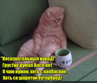https://lolkot.ru/2016/03/26/nesoznatelnyy-narod/
