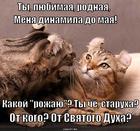 https://lolkot.ru/2013/09/06/nestykovochka-vyshla/