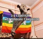 https://lolkot.ru/2012/04/30/net-plohih-tantsorov/
