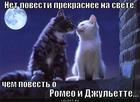 https://lolkot.ru/2011/11/05/net-povesti-prekrasneye-na-svete/