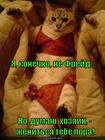 https://lolkot.ru/2015/06/06/net-ya-ne-freyd/