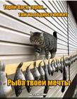 https://lolkot.ru/2024/06/23/netochnaya-mechta/