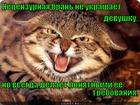 https://lolkot.ru/2012/05/01/netsenzurnaya-bran/
