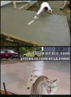 https://lolkot.ru/2011/11/07/neudachnik/